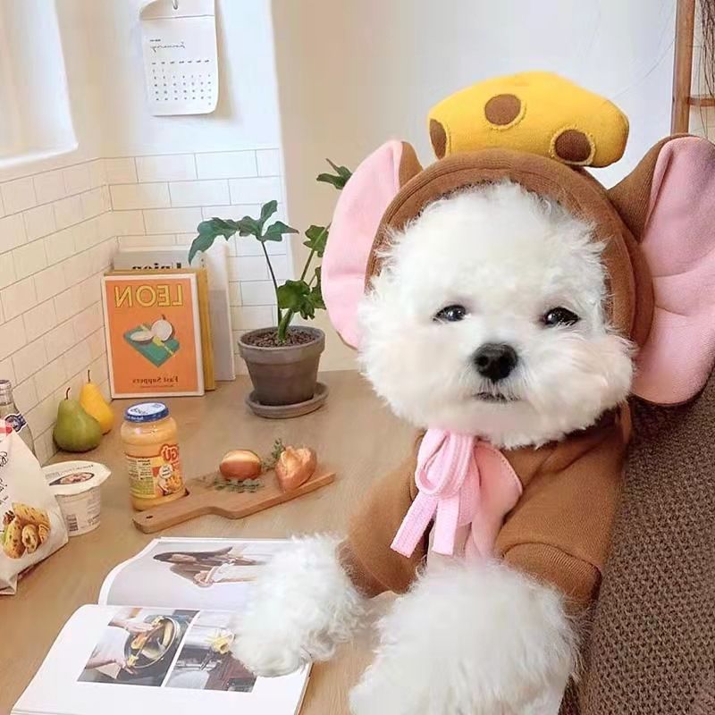 Trasformazione della frutta cane gatto cane di piccola e media taglia autunno e inverno gilet pile abbigliamento forniture pet Teddy metodo secchio produttori_voghion.com