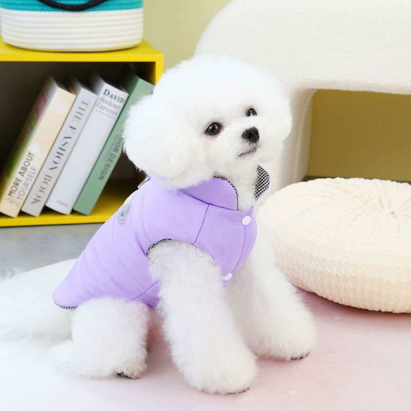 Ropa de otoño para perros y ropa de invierno para mascotas con osito de peluche, nuevos 23 pares de chalecos de algodón divertidos_voghion.com