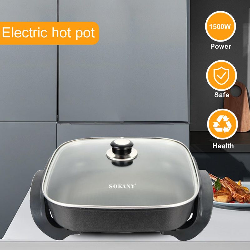 Marmite électrique multicuiseur, cuve intérieure antiadhésive de 3 L pour frire, mijoter, bouillir, cuire à la vapeur et préparer des soupes, 700 W avec thermostat réglable, nettoyage facile_voghion.com