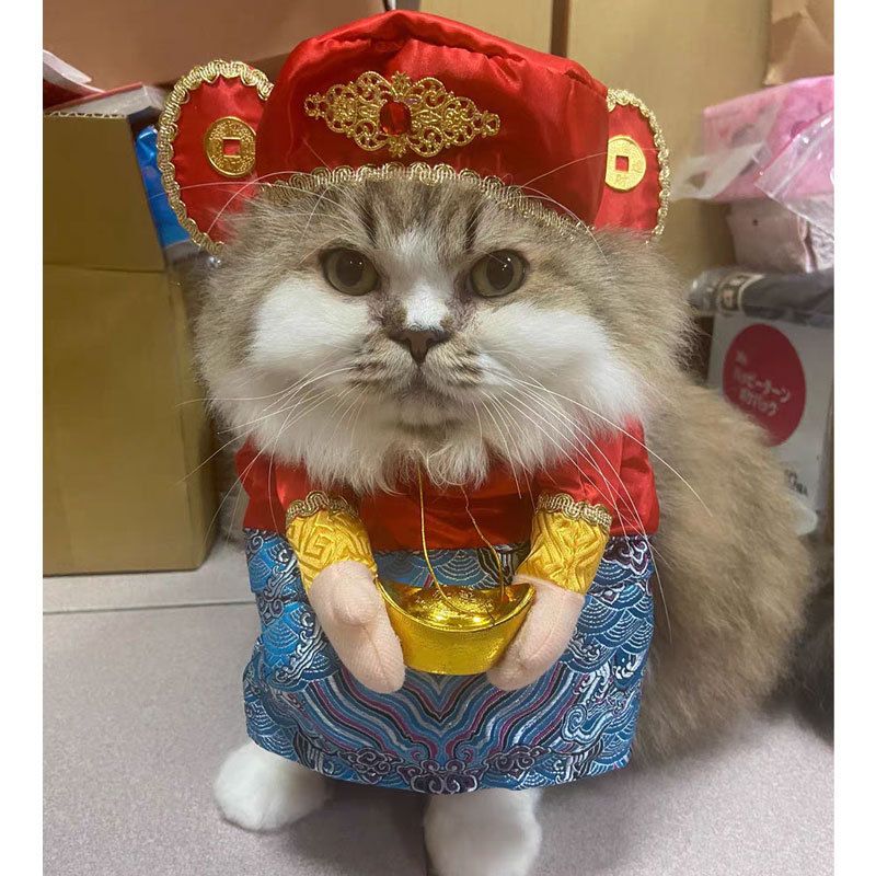 Spring And Autumn Pet Clothing Cute Funny Quirky Costume Hilarious Cat Dog Clothes Standing Transformation Outfit 3D_voghion.com
