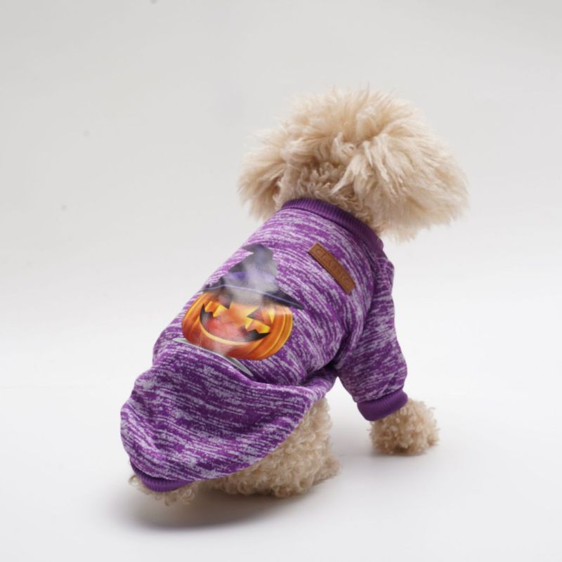 Halloween Teddy Kostüm Kürbis Pullover Hoodie Haustier Hund Katze Kleidung Herbst Winter Stil_voghion.com