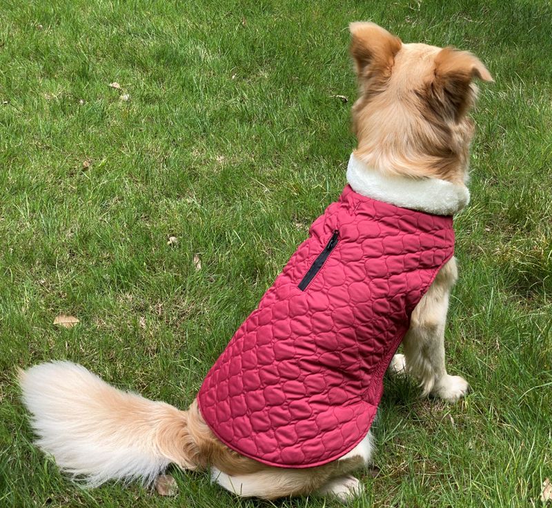 Pocket new pet clothes autumn and winter dog clothes vest cotton coat double sided wearable dog clothes coat clothing_voghion.com