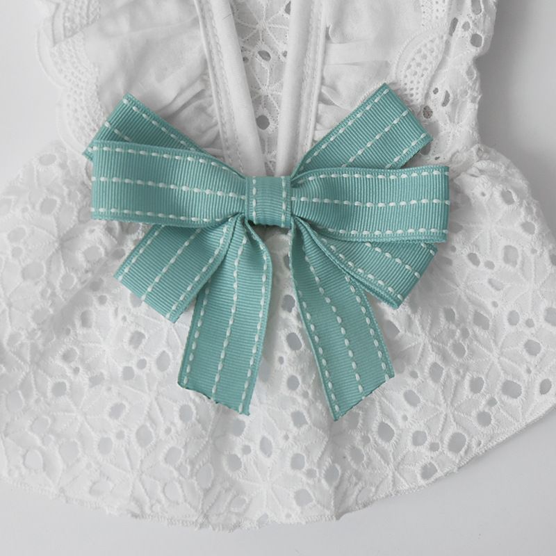 Neue Sommerkleid-Hundekleidung für kleine und mittelgroße Hunde Pommersche Haustierkatzen-Kleidungszubehör_voghion.com