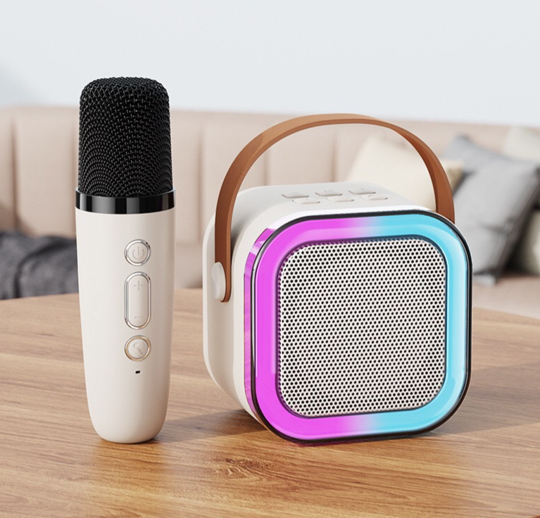 Enceinte karaoké portable Bluetooth intégrée avec double microphone - Modèle à succès international homologué_voghion.com