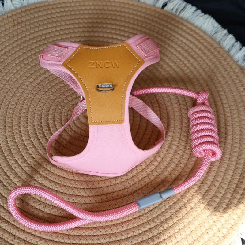 Guinzaglio antisporco per cani da compagnia, regolabile, per passeggiate, taglia media e piccola, traspirante, in corda, per esterni_voghion.com