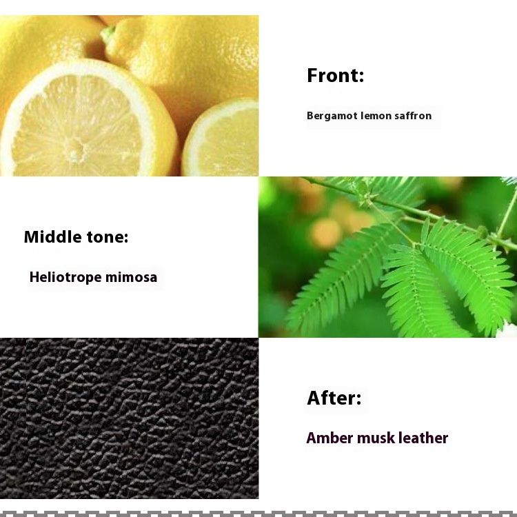 Nieuwe Parfum Vietnam Parfum Heren Parfum Fris En Natuurlijk Echt Product Duurzaam Grensoverschrijdend Leer Heren Parfum_voghion.com