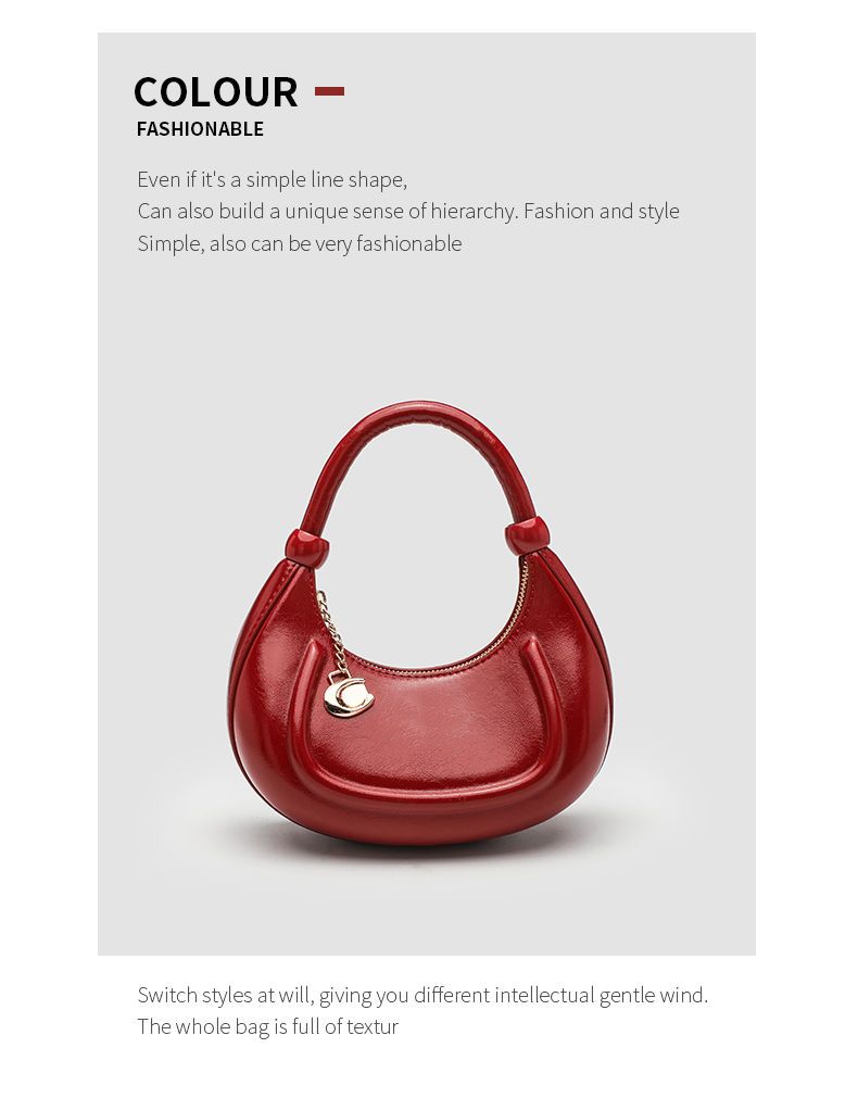 CHARHP&KEJNT Hailey Diary Crescent Women's Small Handbag Single Shoulder Crossbody Bag_voghion.com
