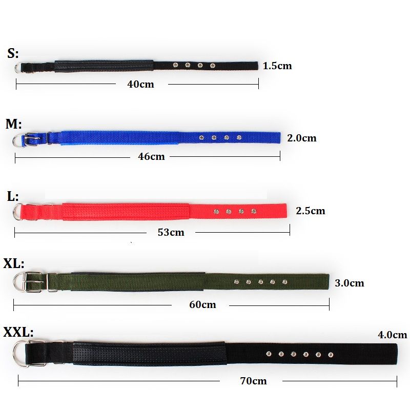 Cinturino regolabile in nylon, accessori per cuccioli di piccola e grande taglia, collare in pelle per cani, Golden Retriever, Husky, collo di PawParty Store_voghion.com