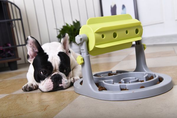 Pet Life 'Roto Paw' IQ Training Interactive Rotating Slow Dog Feeder_voghion.com