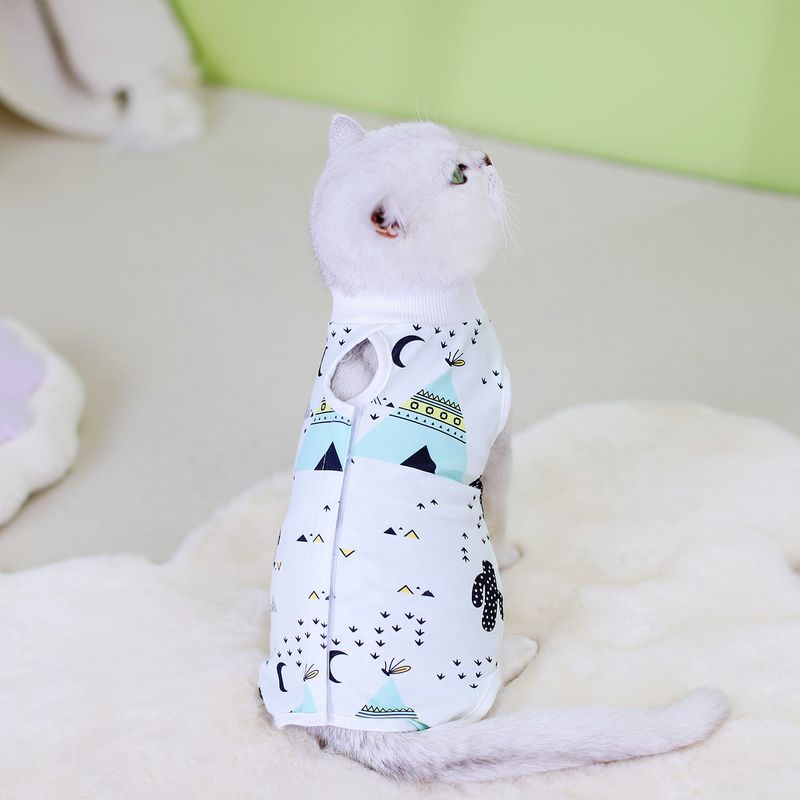 Vêtements de stérilisation, combinaison chirurgicale, sevrage féminin, bandage anti-léchage, fournitures post-opératoires pour animaux de compagnie, 2024_voghion.com