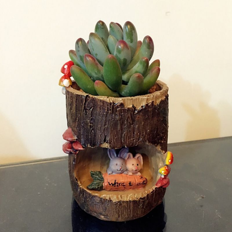 Sukkulenten-Blumentopf, 10 cm – süßer Cartoon-Übertopf mit Abflussloch, kleiner Blumentopf für den Innenbereich, als Geschenk für Kakteen_voghion.com