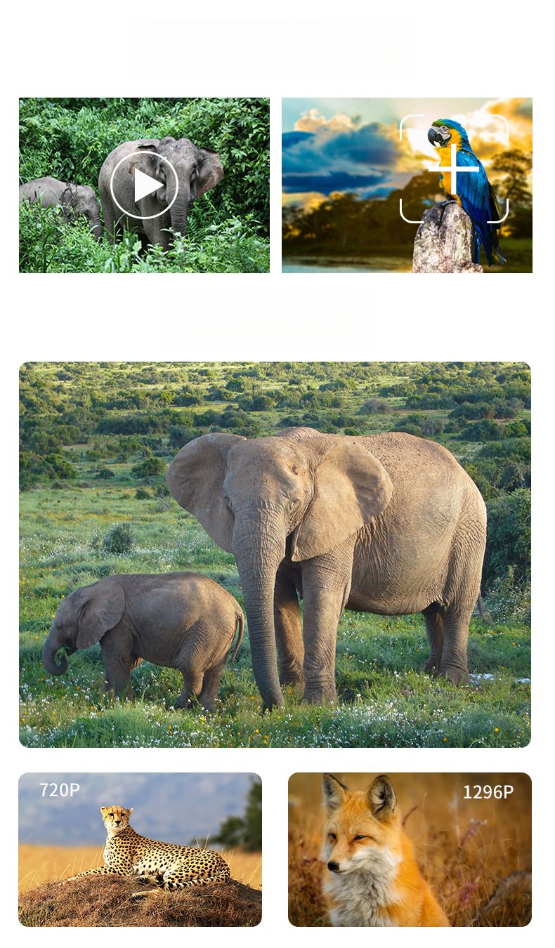 Telecamera impermeabile IP66 con visione notturna a infrarossi per monitoraggio animali da esterno con sensore da 64 MP_voghion.com