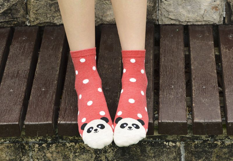 Calzini da donna Calzini per cani e animali Calzini in cotone da donna a pois carini Calzini in cotone da donna_voghion.com