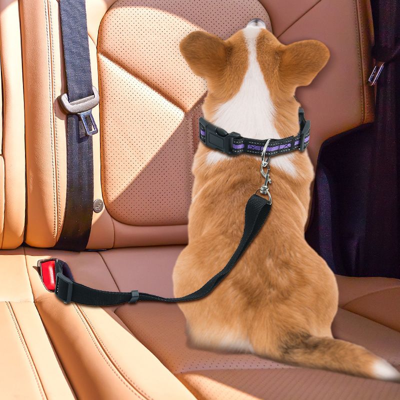In-car Supplies Cat And Dog Safety Harness Fixed Leash Pet Collar Style_voghion.com