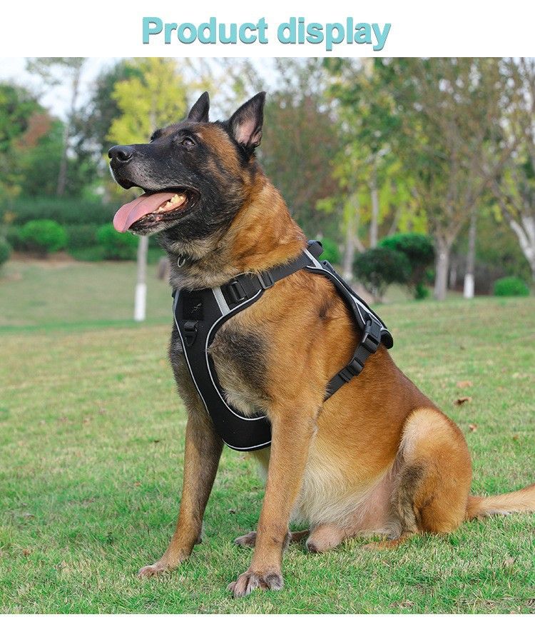 Pet 2024 per cani di taglia media e grande, imbracatura tattica in stile gilet, guinzaglio per passeggiate con il cane_voghion.com