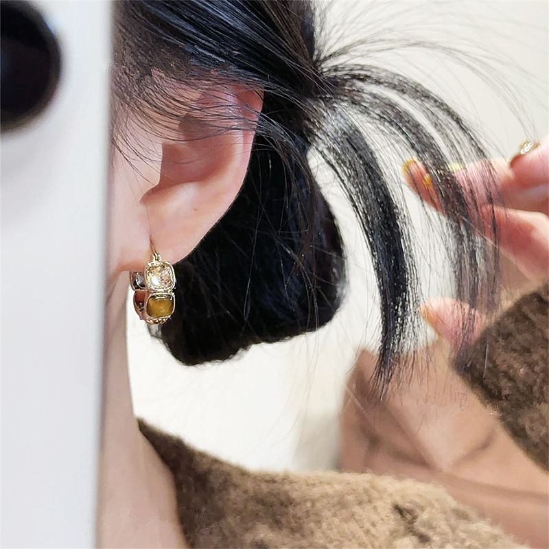 Zircon Earrings Women's Fashion Internet Celebrity Temperament Light Luxury High-end Ear Buckle Explosion Exquisite New Personalized Earrings Jewelry_voghion.com