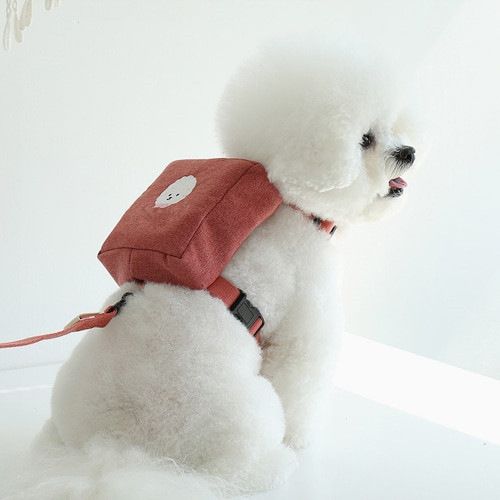 Pet Self-Backpack Dog Cat Pomeranian Bichon Leash Teddy Corgi Small Medium Dogs Walking Rope_voghion.com