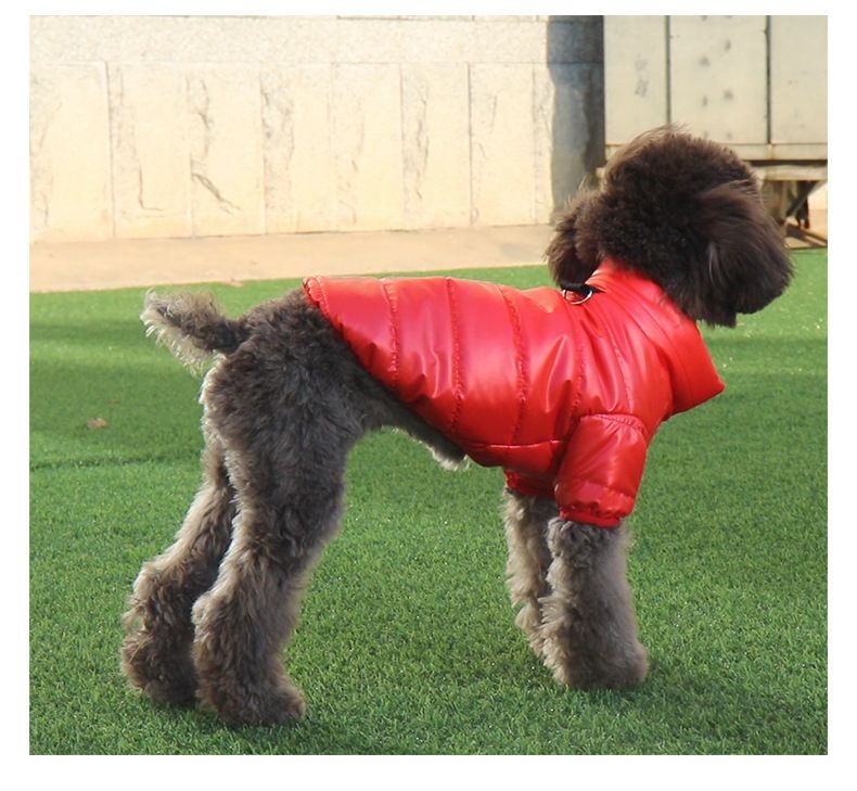 Einweg-Baumwoll-gepolsterte Kleidung Katze Herbst und Winter Hundekleidung Winterkleidung kleine Hunde Haustier Baumwolle gefütterte Jacke neue Baumwolle gefütterte Kleidung Winter_voghion.com