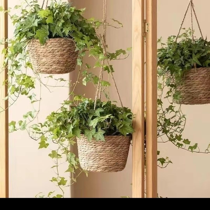 Hanging Plants, Baskets, Hanging Pots_voghion.com