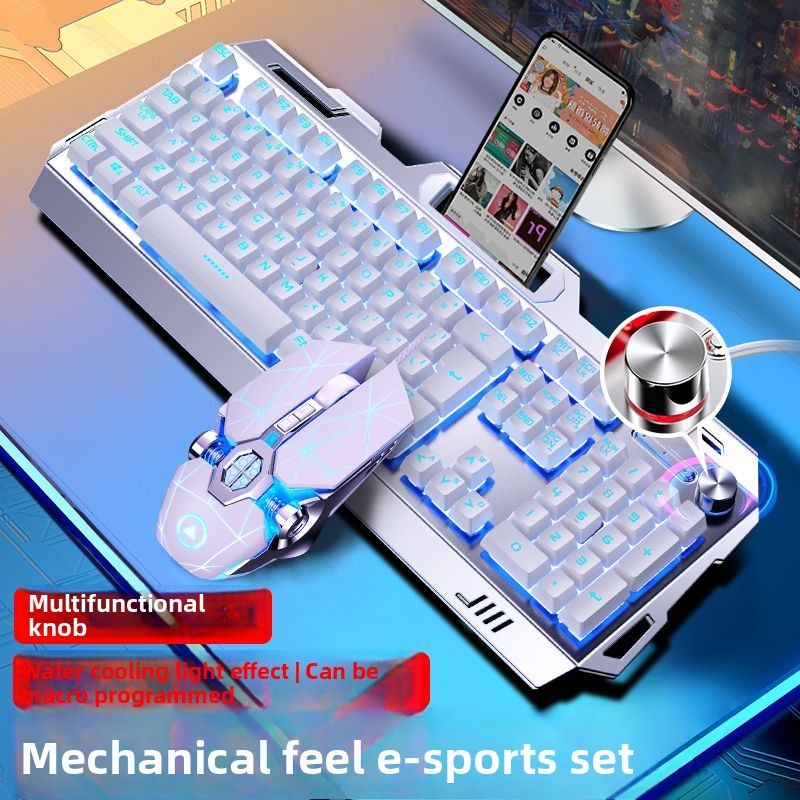 Silver Eagle V2 Wired Keyboard Mouse Set USB Desktop Computer Laptop Gaming Mechanical Feel E-sports Peripheral_voghion.com