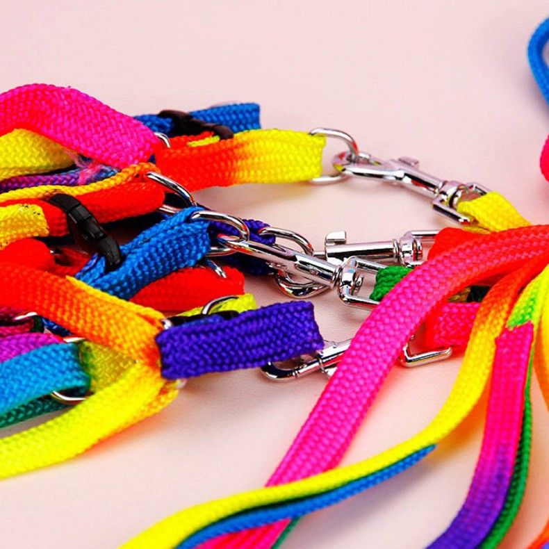 Coleira de nylon colorida para cães e gatos, peitoral de pelúcia para passear_voghion.com