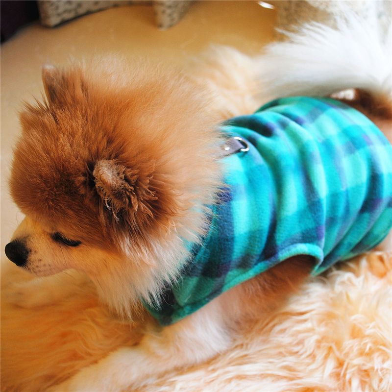 Abbigliamento per animali domestici diretto dalla fabbrica, per cani, autunno e inverno, in pile polare, fibbia di trazione, 27 colori brevettati, saranno oggetto di indagine_voghion.com