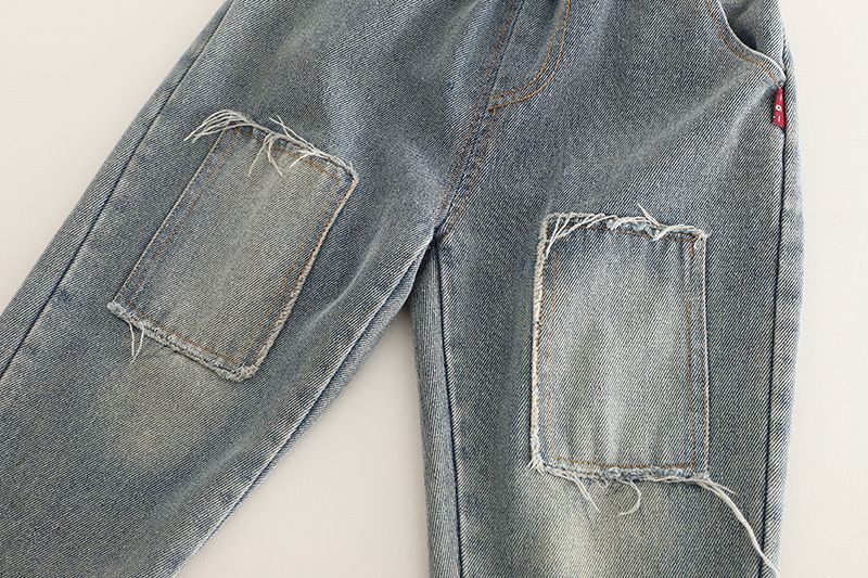 Abbigliamento per bambini primavera e autunno 2025, edizione coreana, camicia per cani, felpa con cappuccio, manica lunga, due pezzi, stile western_voghion.com