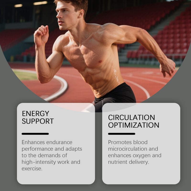 Dietary Supplement Men's Discomfort Relief Body Care_voghion.com