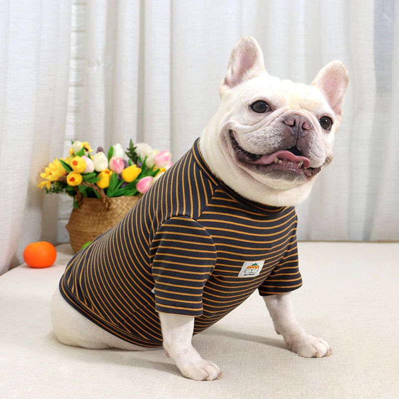 Maglietta super elastica in tessuto ispessito spazzolato autunno inverno, a righe elasticizzate, per il controllo del grasso, per cani_voghion.com