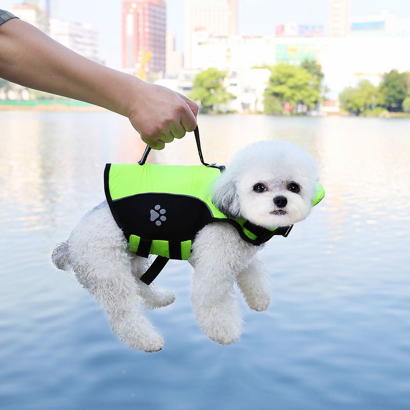 Traje de baño para mascotas, nuevo, para todas las estaciones, tipo chaleco, se puede remolcar._voghion.com