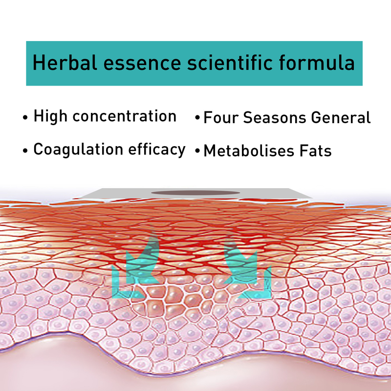 Slimming West&Month Herbal Umbilical Patch with Magnetic Lazy Body Beauty Salutation Meat Big Belly Shaping En_voghion.com