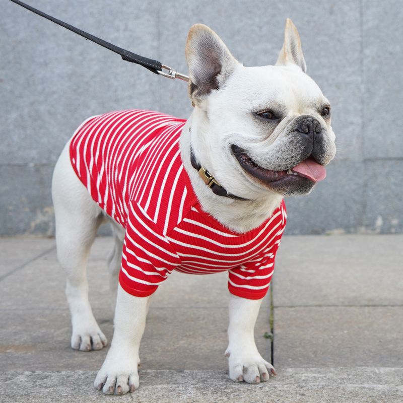 It Striped Dog T-Shirt Anti-Shedding Thin Corgi Teddy Korean Style Pet Clothing For Small Dogs_voghion.com