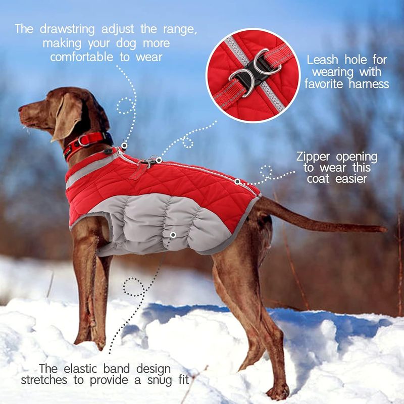 pet clothes dog cotton coat winter windproof warm dog cotton coat plus velvet thick down cotton coat_voghion.com