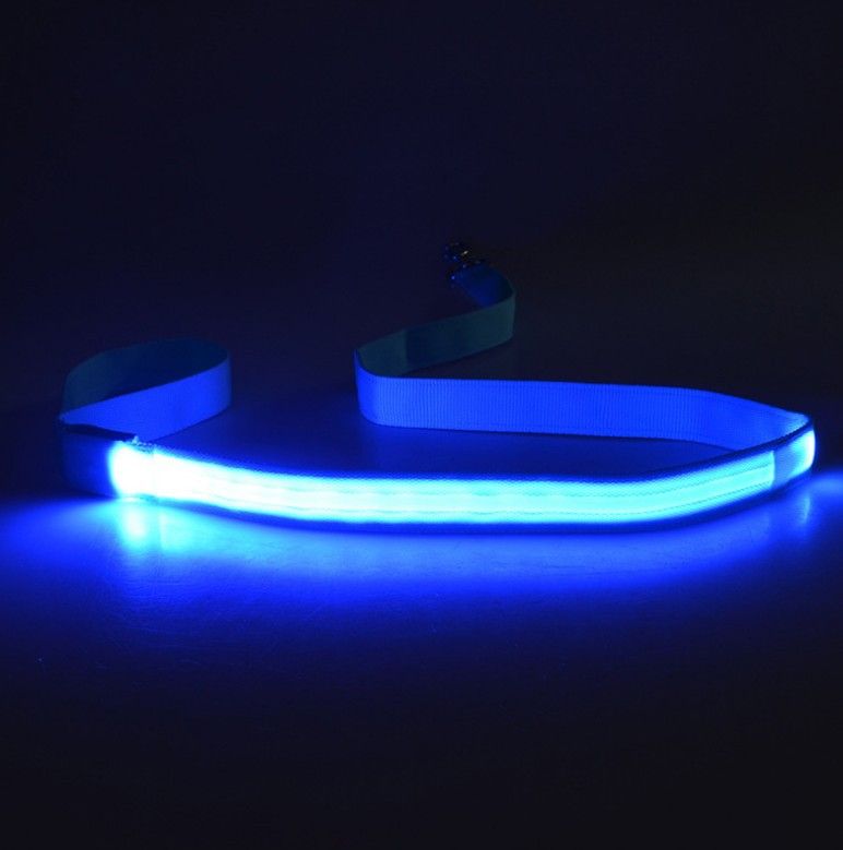 LED Pet Harness Light-Up / USB Flashing Light Leash Dog Rope_voghion.com