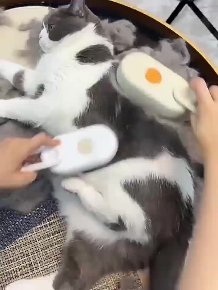 Spray de masaje para gatos, perros y mascotas. Un botón, pulverizador de vapor, herramienta de cuidado giratoria y plegable, cepillo depilatorio de 3 pulgadas de PawParty Store._voghion.com