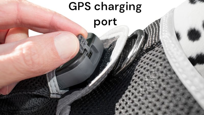GPS GSM Waterproof Pet Tracker Rechargeable Portable Tracking Device Size:XS_voghion.com
