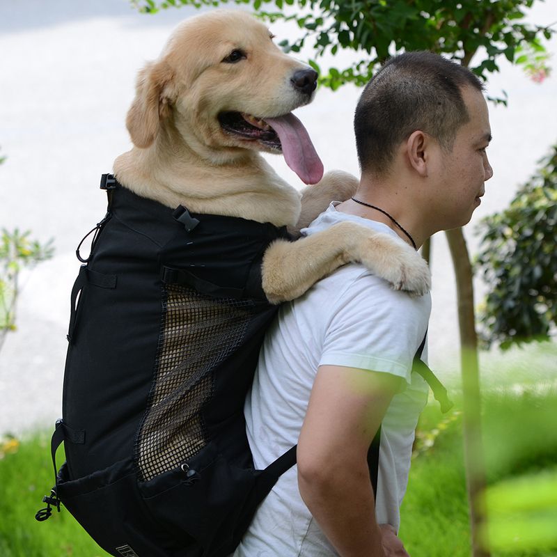 Sac à dos de voyage à double bandoulière pour chien, respirant et lavable, idéal pour les courses en extérieur et le vélo_voghion.com