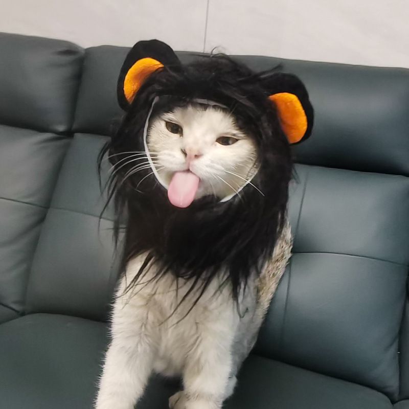 Copricapo Parrucca Cappello Animale Domestico Cane Cucciolo Gatto Costume Copricapo Leone_voghion.com