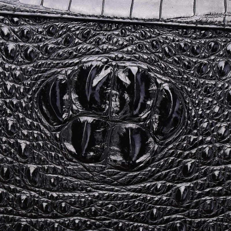 Nuova borsa da uomo in stile coccodrillo, versatile, modello portafoglio lungo, 2025_voghion.com