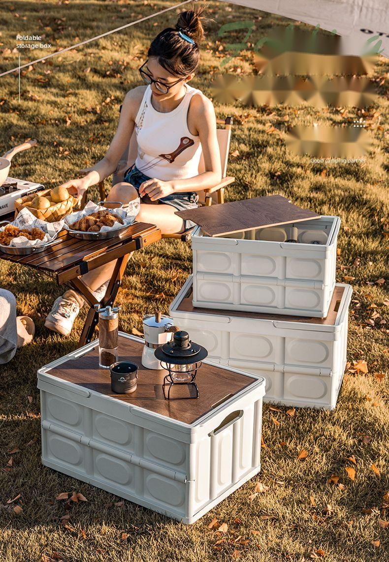 Contenitore per alimenti portatile pieghevole per bagagliaio auto da campeggio e picnic_voghion.com