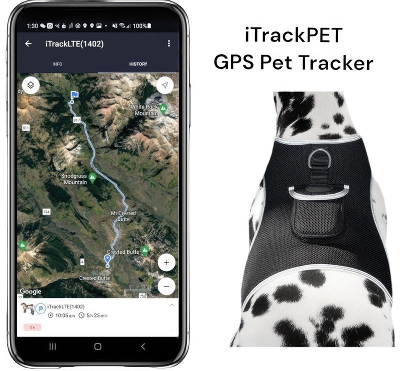 NEW Easy Set Up GPS Collars for Dogs Rechargeable Pet Tracker GSM GPRS Size:L_voghion.com