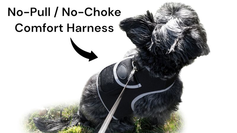 Get Realtime Location with Pet Tracker Mini Cat Dog GPS System Pet Tracker Size:L_voghion.com