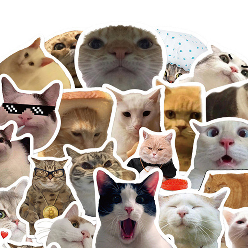 ToysMall 50 Stuks Cartoon Stickers Leuk Katje Patroon PVC Decoratie Kat Stickers Plakboek Waterfles Koffer Briefpapier Leveringen_voghion.com