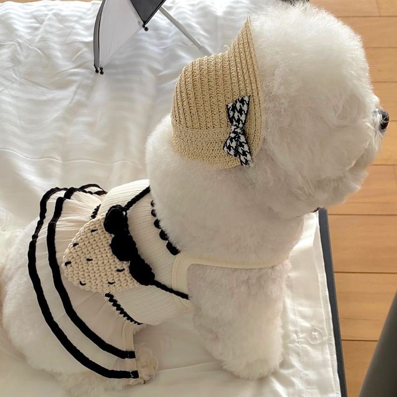 Sommer Neue Dünne Riemen Weste Mesh Bichon Teddy Pomeranian Overall Kleid Für Hunde Und Katzen Anti-Shedding Kleidung_voghion.com