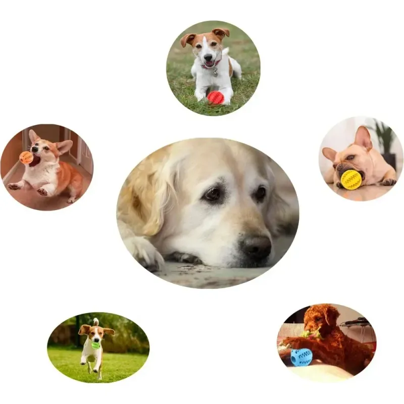 Hausdéierhond Leckage Ball Zännknëscher Hausdéierhond Spillsaach Bëssbeständeg Zännreinigung Linderung Langweil Training Solitär Selbst Spaass Spillsaach_voghion.com