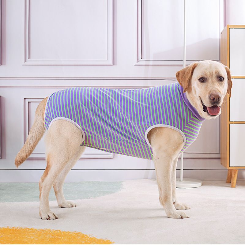 Kleidung Große Golden Retriever Bauch Schutz Weste Reine Baumwolle Zurück Zipper Weibliche Hund Entwöhnung Kastration_voghion.com