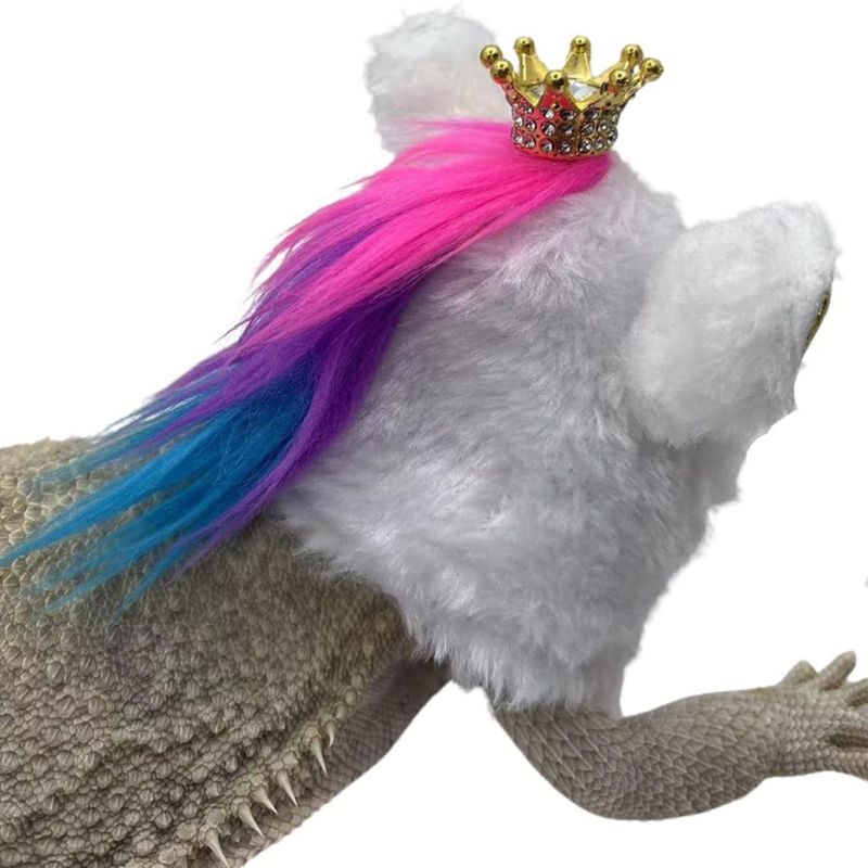 Costume di Halloween da geco, lucertola, unicorno, vestiti divertenti, piccolo animale domestico, corona, copricapo, cappello_voghion.com