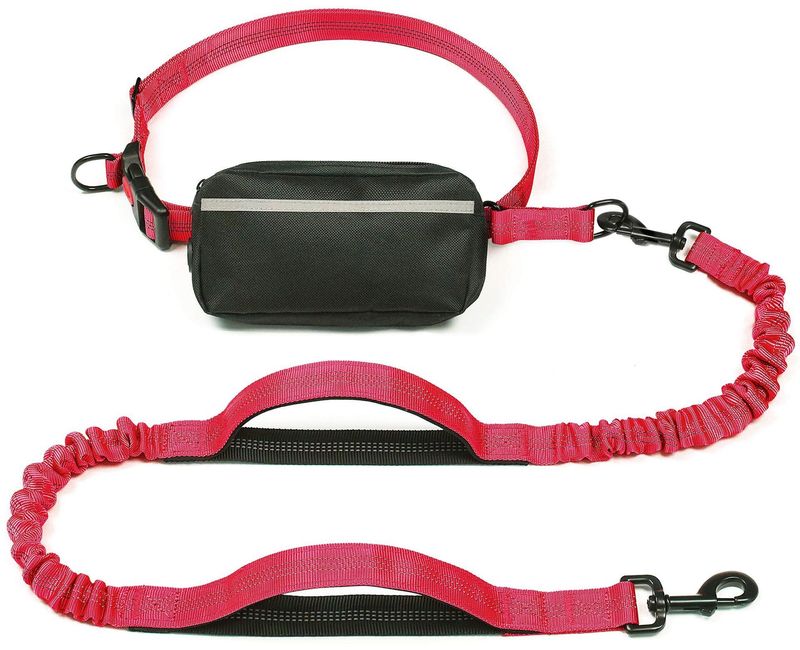 Pet Supplies Multifunctional Running Waist Bag Reflective Pull Leash Elastic Dog Rope_voghion.com