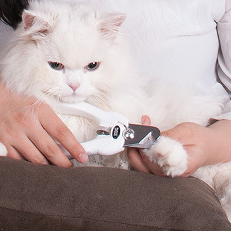 Dele Pet Clippers Verstellbarer Cutter für Katzen Teddy Mittlere und große Hunde Nagelknipser mit Feile_voghion.com