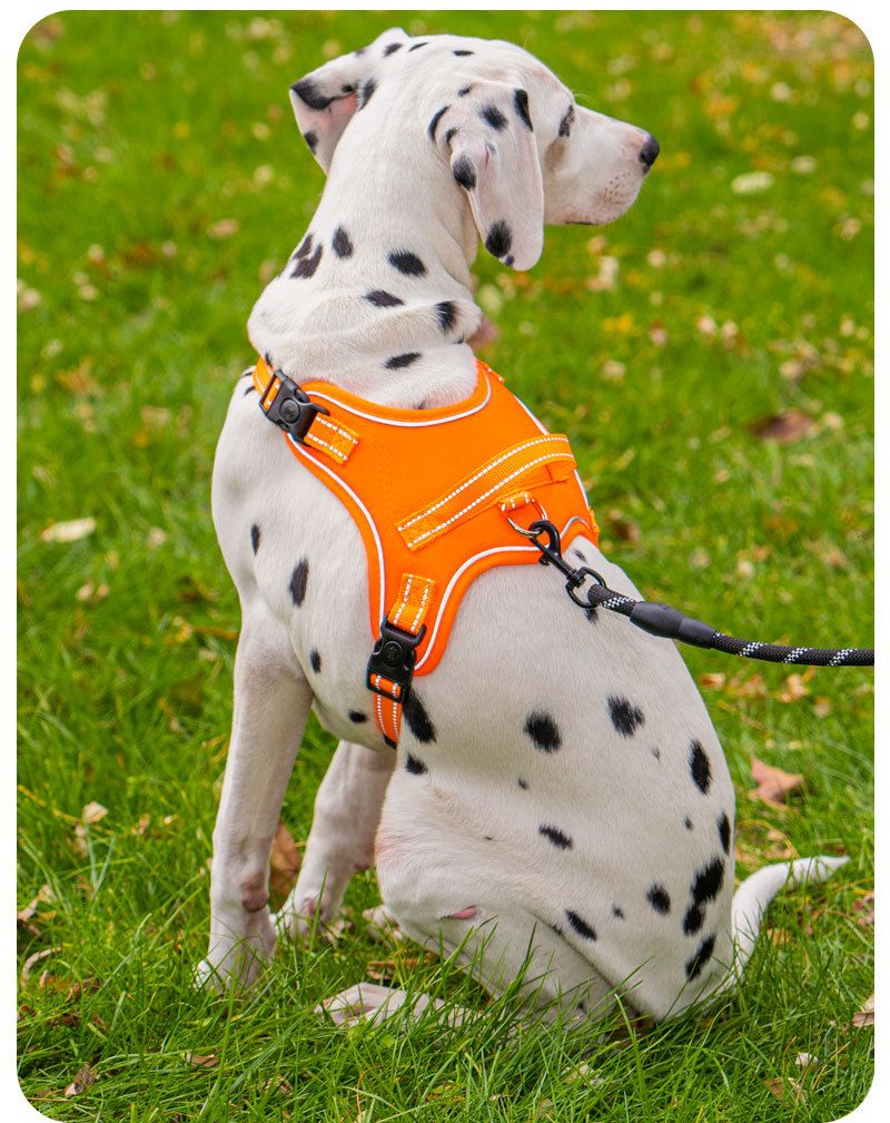 2025 New Pet Harness Saddle Shape Lightweight Dog Walking Leash For Small And Medium Dogs_voghion.com